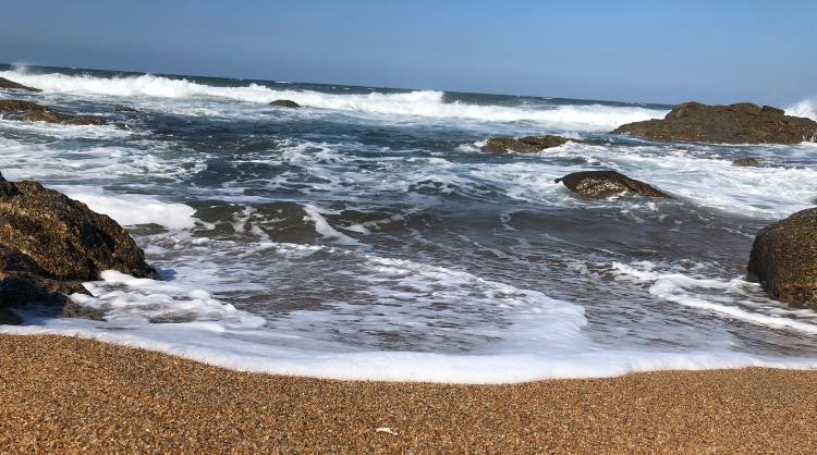 475441700_122190235334175353_8757541204954531753_n-1